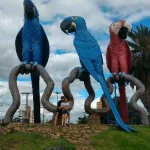 Foto do grupo Eventos e festas Campo Grande