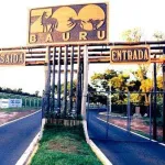Icone Grupo Trânsito Bauru