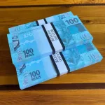 Icone Seguidoresxpress