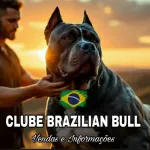 Icone BRAZILIAN  BULL