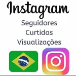 Icone VENDA DE SEGUIDORES E LIKES