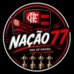 Icone NACAO 77