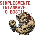 Icone Realidade Bostileira