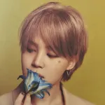 Icone Magic shop das armys