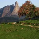 Icone Grupex da zuerex