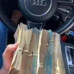 Icone BOT SELECT (HACKER DAS CASAS DE APOSTAS)