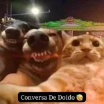 Icone Minas e nois