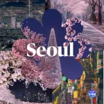 Icone Star Of Koreia
