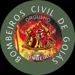 Foto do grupo BOMBEIROS & GUARDAS VIDAS