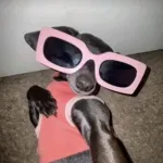 Icone Divas