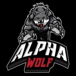 Icone CAMP ALFA WOLF