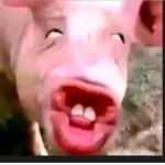 Icone Sintonia Perfeita