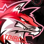 Icone TBIRDS