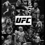 Icone Mundo do UFC
