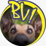 Icone FILMES GRATIS BV VIDEOS