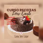 Icone Emagreca SEM CULPA