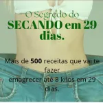 Icone VIP #3 PROJ. 29 DIAS