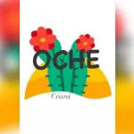 Icone OCHE - Alunos 2024