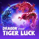 Icone HORARIOS DO DRAGON TIGER