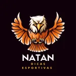 Icone NATAN TTIPS
