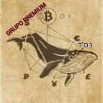 Icone Consultoria Cripto Inicia