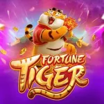Icone Fortune Vip