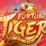 Icone Fortune tiger metodos
