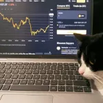 Icone Gato preto DayTraders