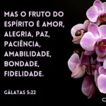 Foto do grupo Comunidade cristã