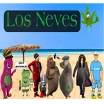Icone los neves