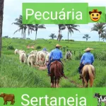Icone 🧑🏻🌾PECUÁRIA SERTANEJA🐄