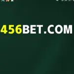 Icone 456 bet
