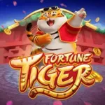 Icone Slots Pagando 🤑