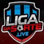 Icone Dp sports