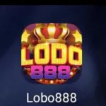 Icone Grupo lobo 888