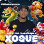 Icone Grupo VIP 💸🎰 cooperação do @00doslancamentos 🤴🏾⚡