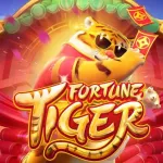 Icone fortune Tiger 🐯