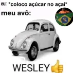 Icone Shitlixo