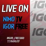Icone Divulgação live