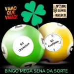 Icone BINGO MEGA SENA DA SORTE💸💸💴