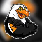 Icone 🖤🧡 PALPITES CERQUEIRA APOSTAS ⚽🥅🥊🏀🎾🏈🏐🏒