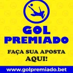Icone GOL PREMIADO ✅