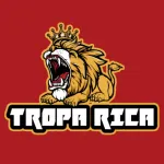 Icone Grup Free Futebol Virtual