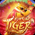 Icone LANÇAMENTO PLATAFORMA 🎰