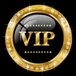 Icone Grupo vip