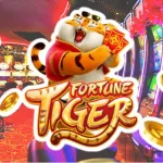 Icone SINAIS 24H TIGER OX E RABBIT BÔNUS R$500