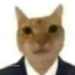 Foto do grupo Conexão Roleplay (GTA SAMP)