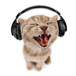 Icone Grupo da Musica