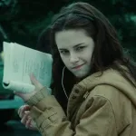 Icone Tesouro Literario