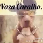 Icone Gurizada da resenha